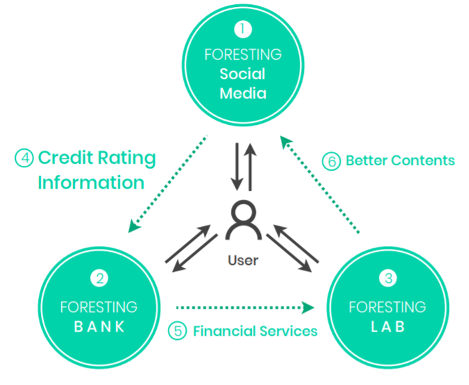 Foresting Network Value Chain